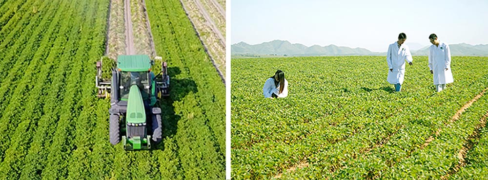 遼寧正業(yè)花生產(chǎn)業(yè)：共抗疫情，龍頭企業(yè)顯擔(dān)當(dāng)！(圖3)