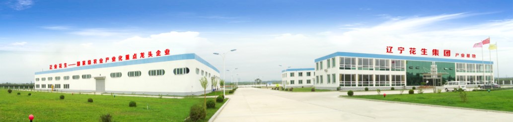葫蘆島市委常委、副市長張明謙蒞臨遼寧花生集團考察指導(dǎo)(圖3)
