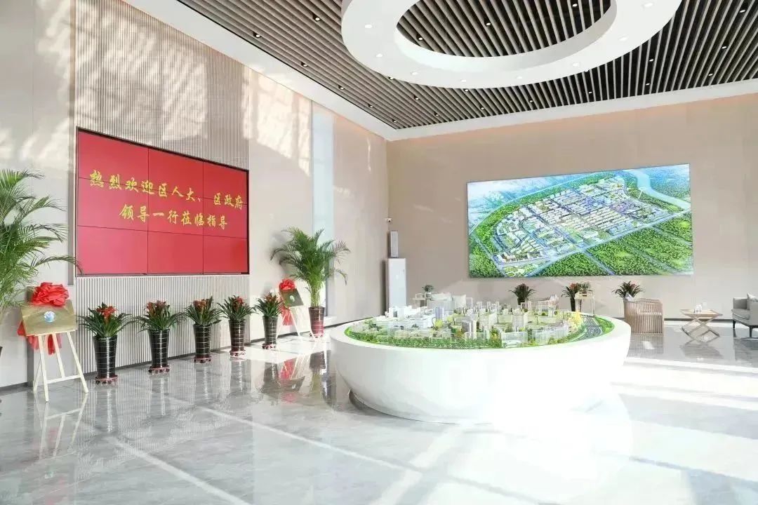 龍港區(qū)人大、區(qū)政府領(lǐng)導(dǎo)一行視察調(diào)研龍港國際醫(yī)療健康產(chǎn)業(yè)園(圖2)