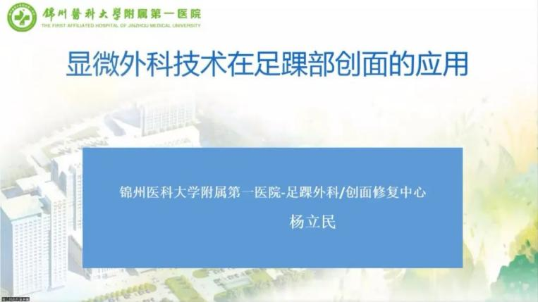 聚焦顯微外科|葫蘆島市醫(yī)學會顯微外科學分會第一屆第二次學術會議順利召開(圖15)
